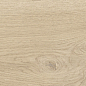 41728 Bloom Dune SP/24x151x0,9/R 24x151 Peronda