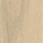 610010004067 Bormio Sand Ret 20x120 ColiseumGres фото в миниатюре 2