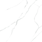 6060AMR00P Atlantic Marble 60x60 LCM