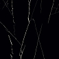 Nero Marquina HG 60x60 Casati Ceramica