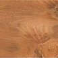 AB 1064W Barma Brown 1200x200 Absolut Gres