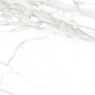Calacatta Bianco PRO белый матовый R10GR CB 60х120 Laparet