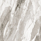 Bergen Polished Silver Carving 60x120 Realistik