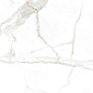 Marble White Glossy 60x120 Duna