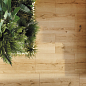 WS5A156 Плинтус Woodhouse темно-бежевый 7x59,8 Cersanit