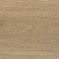 AX3I Log Moon Oak Matt 20x120 Atlas Concorde