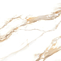 6060SAC11P Sandy Carrara 60x60 LCM