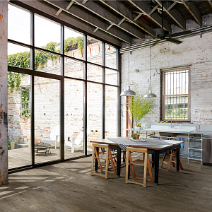 Inedito Ragno Marazzi