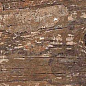Kiwi Redroot Mat 20x120 Alpas Euro