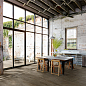 Inedito Ragno Marazzi