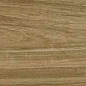 Alessandria Camel 19.5x120 Prissmacer