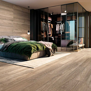 6611 Porcelanite Dos