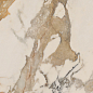 PF60004294 Epoque Ivory Ret 60X120 Ariana