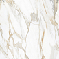 Calacatta Oro Glossy 60x120 Modern Tile