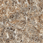 TP304506BS Фильда коричневый ректификат 30x45 PrimaVera