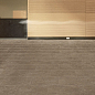 Auris Italon