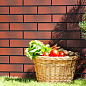 5258 Burgund podloga gladka 300x300x11 CERRAD