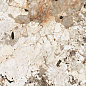 774889 Nature Mood Tundra Glossy 6mm 120x120 Casa Dolce Casa