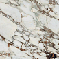765724 Breche Capraia Glossy 6mm 120x240 Rex Ceramiche