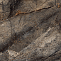 Arizona Green 120x60 Bluezone