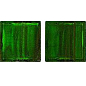 GB 72 2x2 JNJ Mosaic