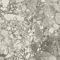 610015000669 Forte dei Marmi Ceppo Apuano Pearl Lapp 80x160 Atlas Concorde Russia