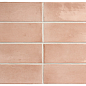 27986 Coco Orchard Pink Glossy 5x15 EQUIPE
