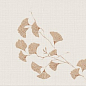 I368 Lilysuite Biloba B 50x120 Marca Corona