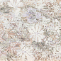 EF 52/Evoque Bosco 20*50 Del Conca