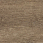 41729 Bloom Cognac SP/24x151x0,9/R 24x151 Peronda
