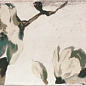 PT02551 Esenzia Fabola Green Mix 15x30 Mainzu