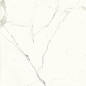 PL612527 Bianco Calacata Luc 120x60 Ariostea