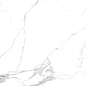 Сlassic Statuario PGVT 60x60 Casati Ceramica