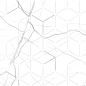 GT124VG Siluet Белый Декор 50x25 Global Tile