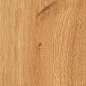Feelwood Cognac 24x150 RHS (Rondine) Ceramiche