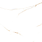 QVL4633GC Golden Queen Glossy Carving 60x120 Buono Ceramica