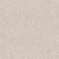 DAPSE784 BLOCK beige lappato 30x60 RAKO