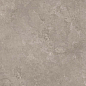 8163 Shell DG 60х60 Creto