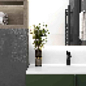 Evolution Gris Laparet