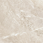 D60262M Wild Gold матовый 600x600x9.5 New Trend