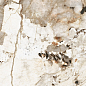 774708 Nature Mood Tundra Comfort 6mm 120x280 Casa Dolce Casa