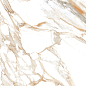 PR138 Duchess Gold polished 60x60 PrimaVera