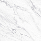 GP40PEG15R Pegas Silver sugar 600x600x9.5 AltaCera