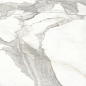 Invictus Natural 80x80 Baldocer