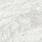 Rizi Silver Carving 60x120 Gravita