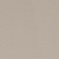 PRTU 120AG RM PARADE 120x120 Imola Ceramica