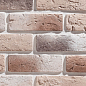 Декоративный кирпич Плоскость Лион 333 21x6,5x1,2 Leonardo Stone
