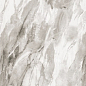 Bergen Polished Silver Carving 60x120 Realistik