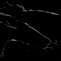 Nero Marquina Black Panter 60x120 Duna