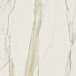750674 Calacatta Gold Open Book A Glossy 6mm 160x320 Rex Ceramiche